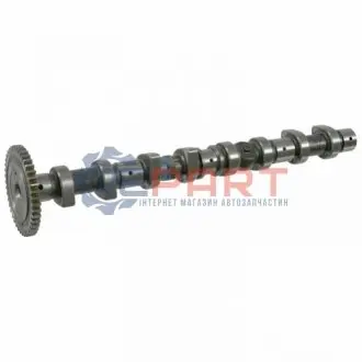 Распредвал IN, OM611 2.2CDI Febi Bilstein 21669 Купить в Украине