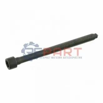 Болт голівки циліндра AUDI A3, A4 B6 SEAT ALTEA, LEON, TOLEDO III SKODA OCTAVIA II VW EOS, GOLF PLUS V, GOLF V, JETTA III, PASSAT B6, TOURAN 2.0 07.02-02.13 Febi Bilstein 26426 Купити в Україні