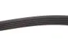 Фото Поліклиновий ремінь (5PK1153) ABARTH GRANDE PUNTO, PUNTO, PUNTO EVO ALFA ROMEO GIULIETTA BMW 7 (E32), 8 (E31) CITROEN XM FIAT 500, 500 C, GRANDE PUNTO, PANDA, PUNTO HONDA JAZZ II 0.9-5.6 09.87 Febi Bilstein (28857) зображення 3