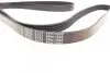 Фото Поліклиновий ремінь (5PK1590) AUDI 80 B4, A4 B5, A6 C5 KIA BONGO, CARNIVAL I, CARNIVAL II, CARNIVAL III VW PASSAT B5 1.9D/1.9DH/2.9D 09.91 Febi Bilstein (28882) зображення 2
