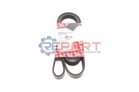 Поліклиновий ремінь (5PK1590) AUDI 80 B4, A4 B5, A6 C5 KIA BONGO, CARNIVAL I, CARNIVAL II, CARNIVAL III VW PASSAT B5 1.9D/1.9DH/2.9D 09.91 Febi Bilstein 28882 Купити в Україні