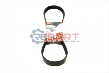 Поликлиновый ремень Febi Bilstein 28903 Купить в Украине