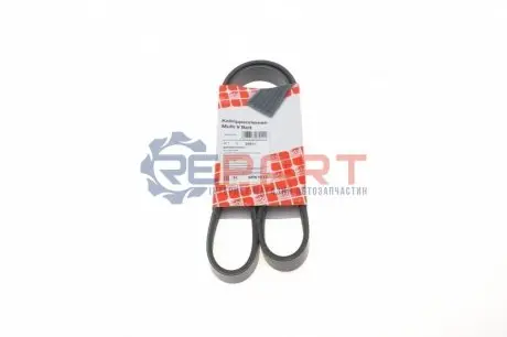 Ремінь генератора Peugeot Expert 1.9D/2.0HDI 98-/Renault Clio/Kangoo/Megane 1.4/1.6 98-03 FEBI BILSTEIN 28911 Купити в Україні