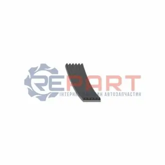Ремінь генератора Fiat Scudo/Peugeot Expert 1.6 96-06 FEBI BILSTEIN 28983 Купити в Україні