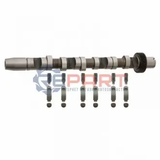 Фото Комплект кулачкового вала FEBI BILSTEIN (29916) зображення 1