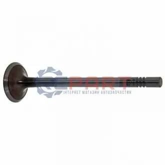 Клапан (впуск) VW Caddy III/Golf VI 1.6TDI 09- (OE VAG) FEBI BILSTEIN 32340 Купити в Україні