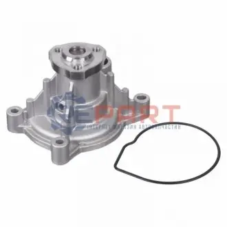 Фото 1 — Помпа води FEBI BILSTEIN (33161) Фото Помпа води FEBI BILSTEIN (33161) изображение 1