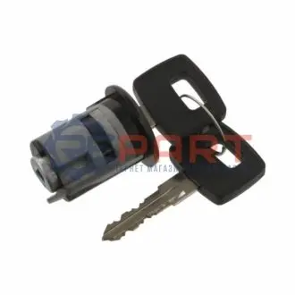 Вкладиш замку запалювання MAN CLA, E2000, EM, F2000, F8, F90, F90 UNTERFLUR, FOC, HOCL, L2000, LION´S CITY, LION´S CLASSIC, LION´S COACH, LION´S STAR, M 2000 L, M 2000 M D0824FL01-G2876DUH02 04.81 Febi Bilstein 34077 Купити в Україні