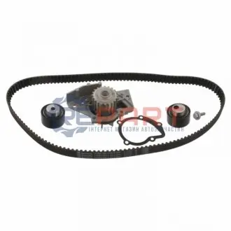Комплект ГРМ + помпа Citroen Berlingo/Jumpy/Peugeot/Expert/Partner/Expert 2.0HDI 98-11(25.4x141z) Febi Bilstein 34637