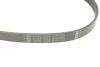 Фото Поліклиновий ремінь (6PK1070) DS DS 3 AUDI A1, A3, Q3, TT BMW 3 (E90), 3 (E92), 3 (E93) CITROEN C2, C3 AIRCROSS I, C3 AIRCROSS II, C3 I, C3 II, C3 III, C3 IV, C4, C4 CACTUS, C4 I 1.0-9.8D 01.90 Febi Bilstein (37533) зображення 3