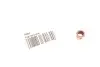 Фото Гайка колектора випускного MB OM617/M115/M114/M130/M129/M108 (M10x1.5mm) Febi Bilstein (39064) зображення 1