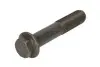 Гвинт маховика Febi Bilstein 46335