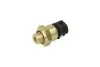 Датчик, пневматична установка Febi Bilstein (48361) зображення 1