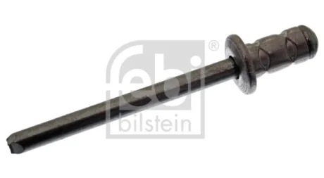 Заклепка кріплення підкрила MB A-class (W169) 04-12 Febi Bilstein 48609