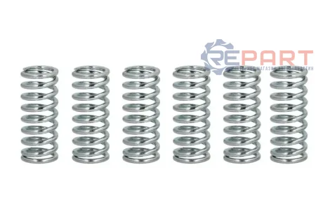 Комплект пружин зчеплення HONDA CB, CBR, VFR KAWASAKI KZ, Z, ZX, ZZR TRIUMPH DAYTONA, TIGER 600-1300 1979-2007 FERODO FSS0114