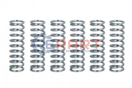 Сцепление, пружины FERODO FSS0203