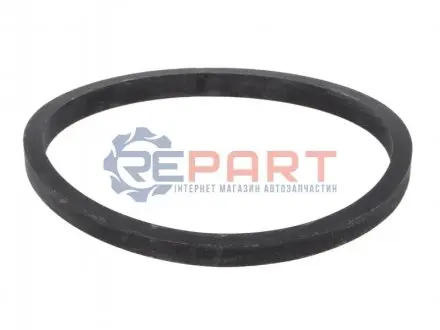 Прокладка радіатора масляного Fiat Ducato 2.3 D 01 Fiat/Alfa/Lancia 504065447
