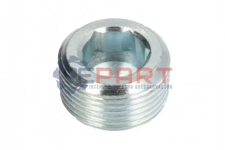 Болт зливу оливи Citroen Jumpy/Peugeot Expert 1.6 95-00 (M22x1.5) Fiat/Alfa/Lancia 7734022 Купити в Україні