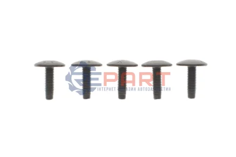 Болт Torx (M6x1x20mm) Fischer Automotive One (FA1) 21700035 Купити в Україні