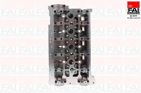 Головка блока цилиндров Renault Master/Trafic 2.2/2.5dCi 01- Fischer Automotive One (FA1) BCH090