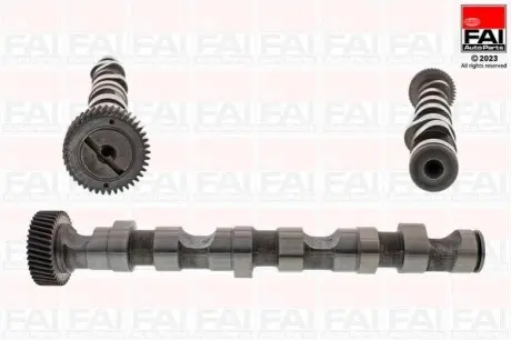 Розподільчий вал Audi A4, A6 99-03 Skoda Super B /WV Passat 97-05 Fischer Automotive One (FA1) C246