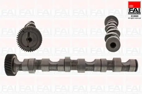 Розподільчий вал WV Passat4/ 97-05Audi A4,A6/ 99-03Skoda Super B Fischer Automotive One (FA1) C247
