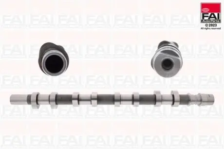 Распределительный вал Nissan Interstar/Opel Movano/Vivaro/Renault Laguna II/Master II/Trafik II 2.2 Dti/2.5 Cdti 02- Fischer Automotive One (FA1) C256