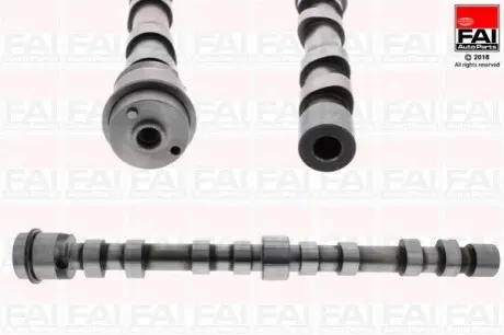 Розподільчий вал CITROEN JUMPER FIAT DUCATO PEUGEOT BOXER 3.0CNG/3.0D 04.06 Fischer Automotive One (FA1) C391