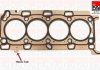 Прокладка ГБЦ Renault Koleos, Traffic II, Laguna III, Megane III 2.0 dCi 05- HG1770