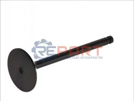 Впускний клапан FRECCIA 4746RARNT Купити в Україні