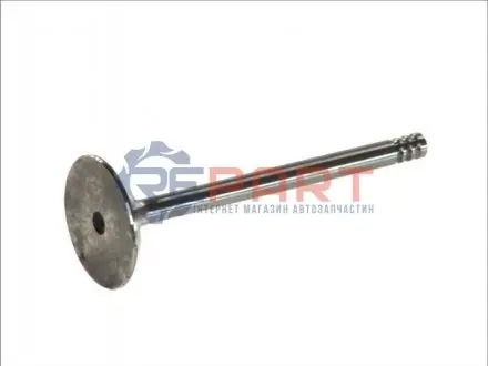 Впускний клапан FRECCIA 4802S Купити в Україні