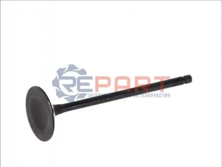 Впускний клапан FRECCIA 4894SNT Купити в Україні