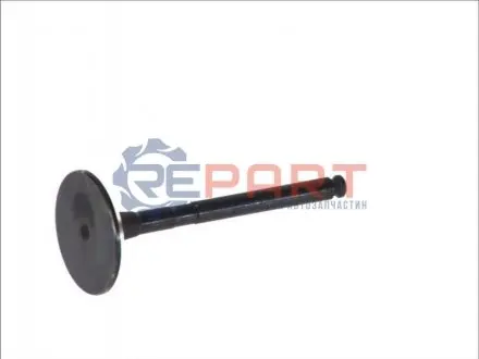 Впускний клапан FRECCIA 6119SNT Купити в Україні