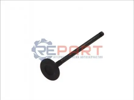 Впускний клапан FRECCIA 6171SNT Купити в Україні