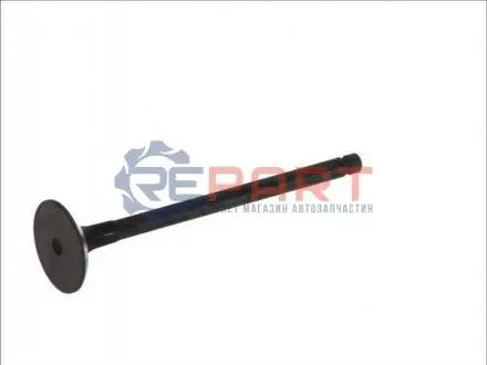 Впускний клапан FRECCIA 6183RNT Купити в Україні