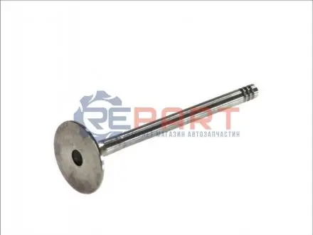 Випускний клапан (31,5x7x89) AUDI A2, A3, A4 B6, A4 B7 SEAT ALHAMBRA, ALTEA, ALTEA XL, CORDOBA, IBIZA III, IBIZA IV, IBIZA IV SC, LEON, TOLEDO III SKODA FABIA I 1.4D-2.5D 01.99-05.11 FRECCIA 6209BM Купити в Україні