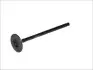 Фото Випускний клапан (29,5x5,5x101,1) TOYOTA ALLION I, ALPHARD / VELLFIRE, ALPHARD I, AVENSIS, AVENSIS VERSO, CALDINA, CAMRY, GAIA, HARRIER, HIGHLANDER / KLUGER, ISIS, MARK X ZIO I 2.0/2.4 02.00 FRECCIA (6295RNT) зображення 1