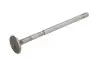 Клапан впускной FIAT 1,3JTD/ OPEL 1,3CDTi 21.9x6x109.2 188A9 FRECCIA (6304/SCR) изображение 2