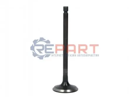 Впускний клапан FRECCIA 6407SNT Купити в Україні