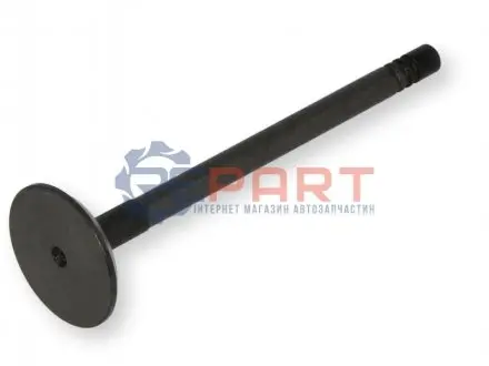 Впускний клапан FRECCIA 6466SNT Купити в Україні