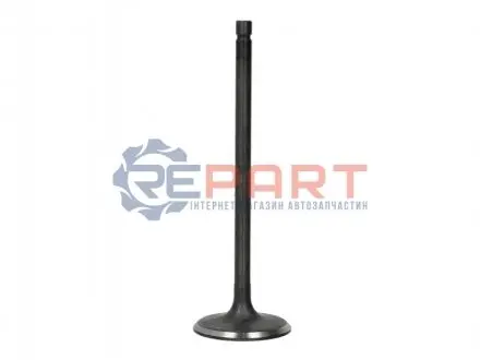 Впускний клапан FRECCIA 6603SNT Купити в Україні