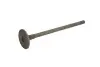 Випускний клапан (24,9x5x99,8) VOLVO S60 II, S80 II, V40, V60 I, V70 III FORD B-MAX, C-MAX II, ECOSPORT, FIESTA, FIESTA VI, FOCUS III, FOCUS IV, GALAXY II, GALAXY III, GALAXY MK II 1.5-1.6D 02.10 FRECCIA (6917RNT) зображення 2