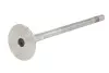 Випускний клапан (25x5x99,3) MAN TGE AUDI A3, A4 B9, A5, A6 C8, A7, Q2, Q3, Q5 CUPRA FORMENTOR, LEON, LEON SPORTSTOURER SEAT ATECA, LEON, LEON SPORTSTOURER, TARRACO SKODA KAROQ 2.0D/2.0DH 08.14 FRECCIA (6993BM) зображення 2