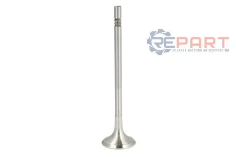 Випускний клапан (25x5x99,3) MAN TGE AUDI A3, A4 B9, A5, A6 C8, A7, Q2, Q3, Q5 CUPRA FORMENTOR, LEON, LEON SPORTSTOURER SEAT ATECA, LEON, LEON SPORTSTOURER, TARRACO SKODA KAROQ 2.0D/2.0DH 08.14 FRECCIA 6993BM