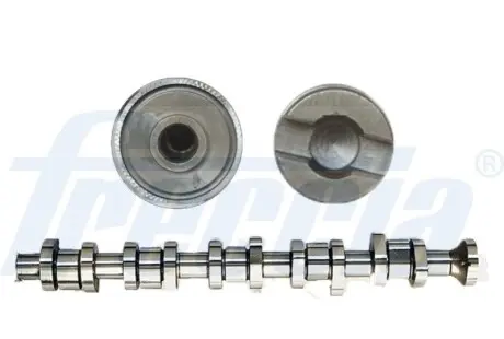 Розподільчий вал VW CALIFORNIA T5 CAMPER, MULTIVAN T5, TOUAREG, TRANSPORTER T5 2.5D 01.03-05.10 FRECCIA CM05-2161 Купити в Україні