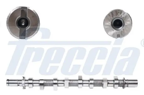 Распределительный вал Dacia Duster/Logan/Sandero/Renault Clio/Scenic III/Kangoo/Megane 1.5 Dci 04- FRECCIA CM05-2185