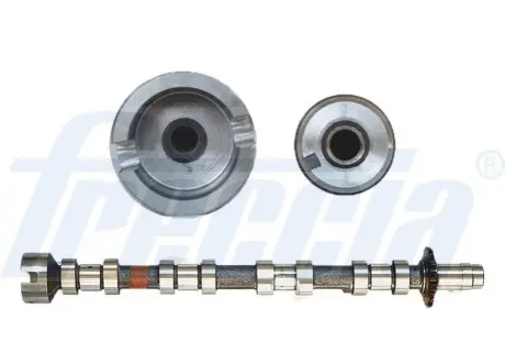 Розподільчий вал (Випускна сторона) CITROEN C-CROSSER, C-CROSSER ENTERPRISE, C5 II, C5 III, C6, C8 FIAT ULYSSE JAGUAR XF I, XF SPORTBRAKE LANCIA PHEDRA LAND ROVER DISCOVERY SPORT 2.2D 03.06 FRECCIA CM052271 Купити в Україні