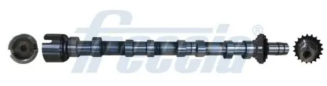 Розподільчий вал (Випускна сторона) DS DS 4, DS 5, DS 7 CITROEN C4 GRAND PICASSO II, C4 II, C4 PICASSO II, C4 SPACETOURER, C5 AIRCROSS, C5 III, DS4, DS5, GRAND C4 SPACETOURER 2.0D/2.2D 04.09 FRECCIA CM05-2374 Купити в Україні