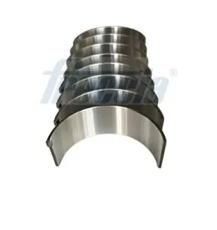 Комплект вкладишів шатунних FRECCIA CR19-101800 Купити в Україні