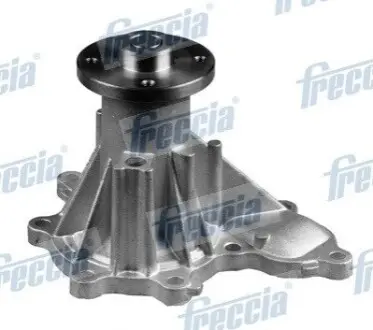 Фото Помпа води Nissan Pathfinder III/NP300 Navara 2.5dCi 05-/Renault Truck Maxity 07- (R/B) (8 лоп) FRECCIA (WP0417) зображення 1